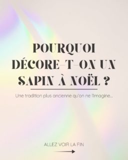 ✨ Entrez dans la magie du sapin de Noël !  Symbole des fêtes et de la tradition suisse, le sapin de Noël illumine notre hôtel avec une décoration simple et chaleureuse. Guirlandes scintillantes, détails élégants et esprit festif créent une ambiance féerique pour petits et grands. 🎄  Accessible en voiture ou en train, notre hôtel en plaine, proche des stations, est le lieu idéal pour vivre la magie de Noël entre nature et confort.  N’attendez plus et venez séjourner chez @alpart_hotel pour une escapade hivernale mémorable. ✨  Et après la magie de Noël… 🍷
 Détendez-vous au bar de l’Alp Art Hotel, votre référence confort au cœur de la région.
 #Noel #NoelEnSuisse #SapinDeNoel #MagieDeNoel #HotelSuisse #SuisseRomande #EscapadeHivernale #SwissChristmas #HiverEnSuisse #swisshospitality