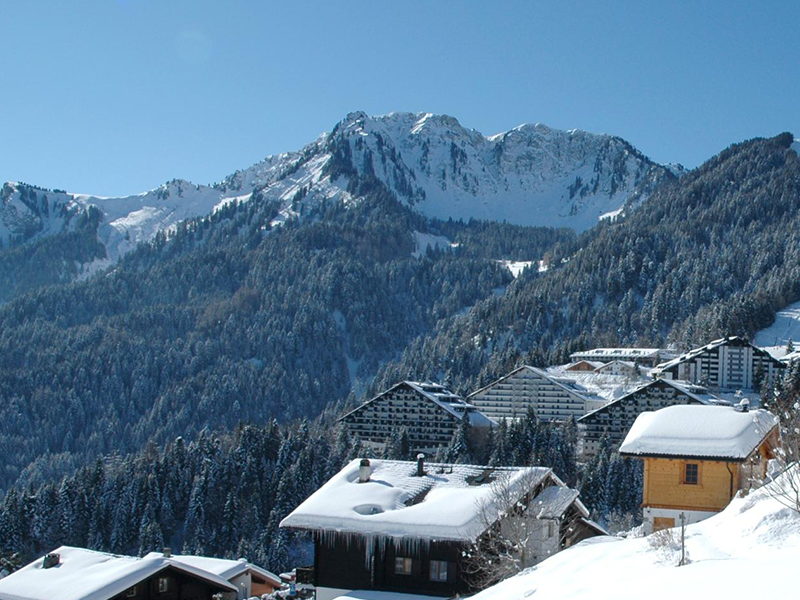 Winter skiing Swiss Alps - Alp Art Hotel