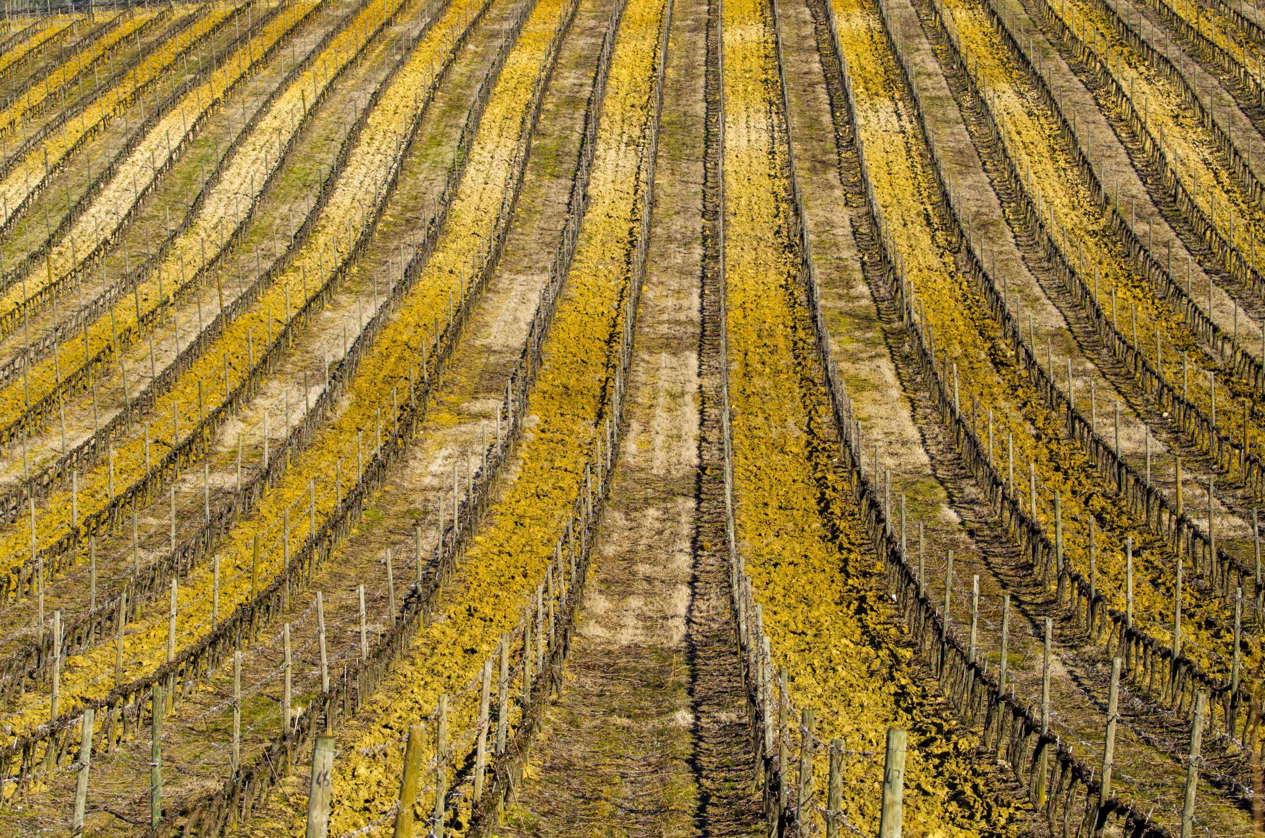 Landscape of a field in a rural area under the sunlight - background concept L'hiver en Chablais - Alp Art Hotel