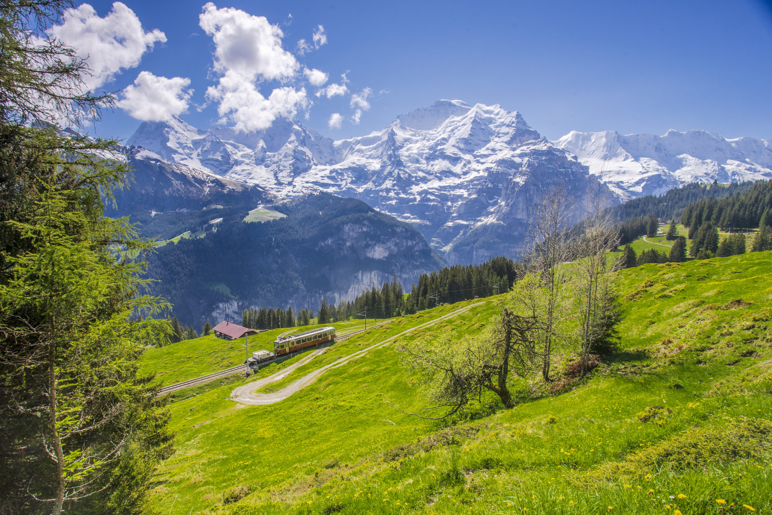 The train runs through a beautiful landscape in the Swiss Alps Snowboard Alpes Suisses - Alp Art Hotel