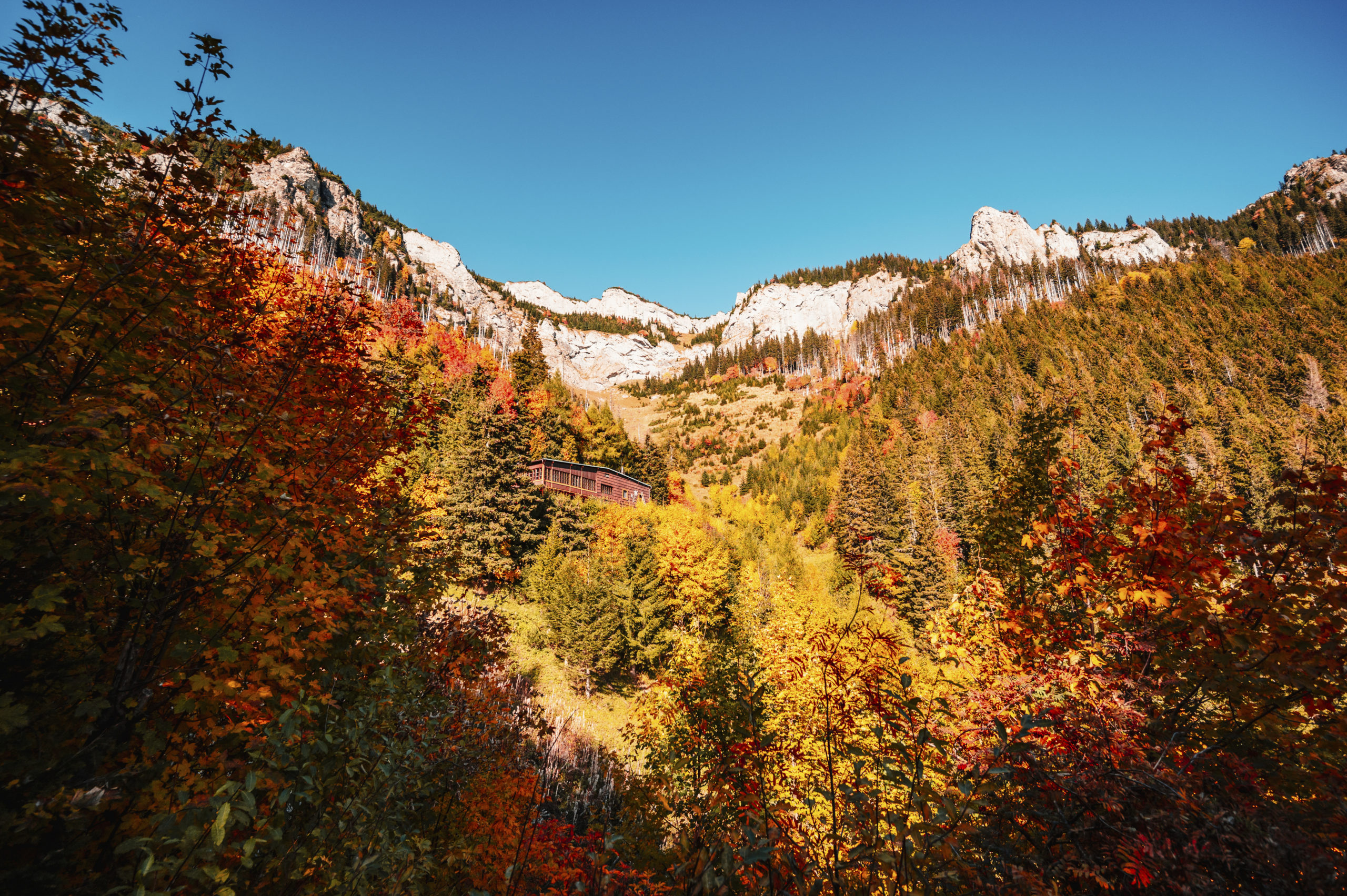 Ski hiver Alpes Suisses - Alp Art Hotel